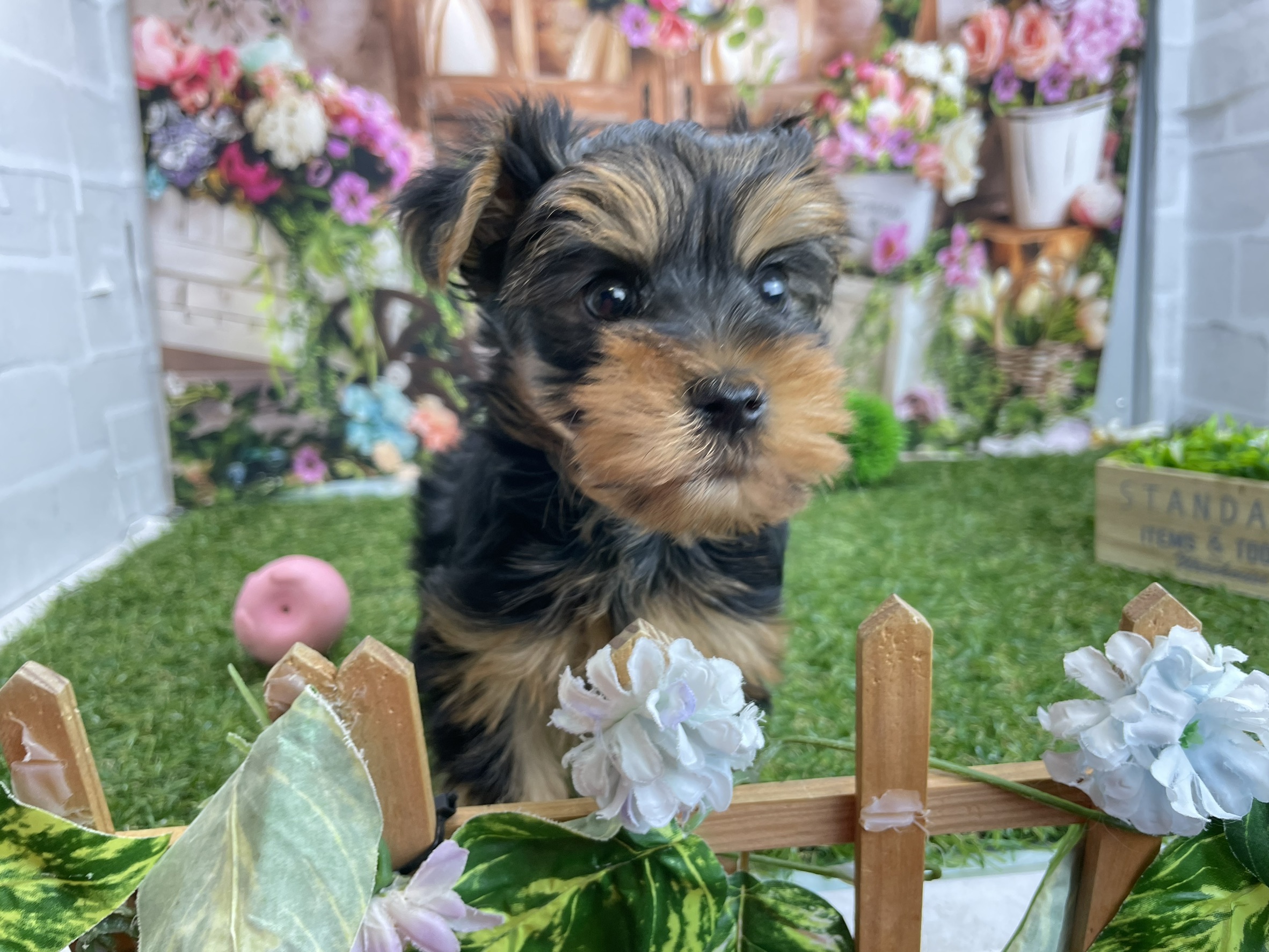 赤ちゃん写真3-3