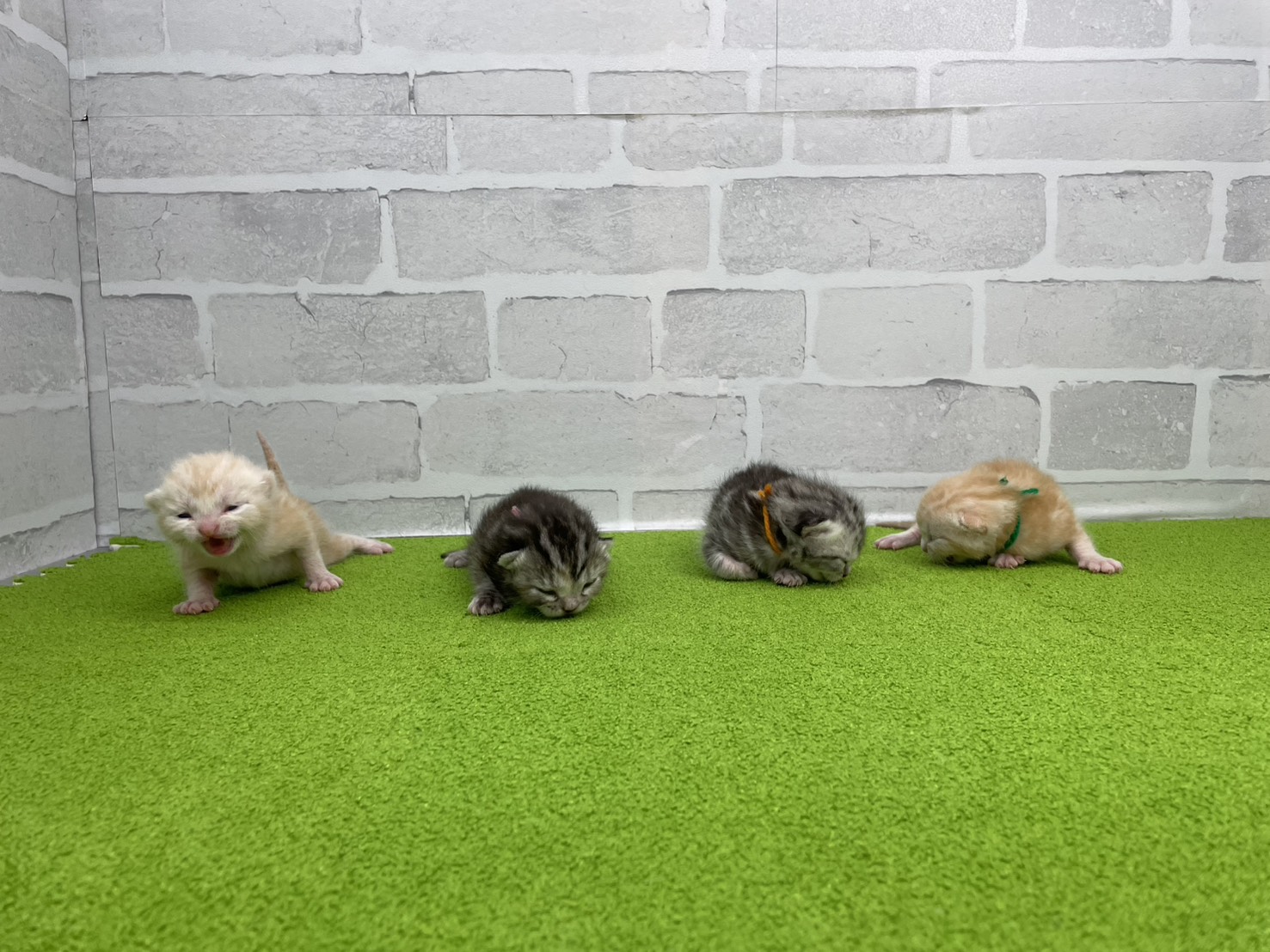 赤ちゃん写真1-3