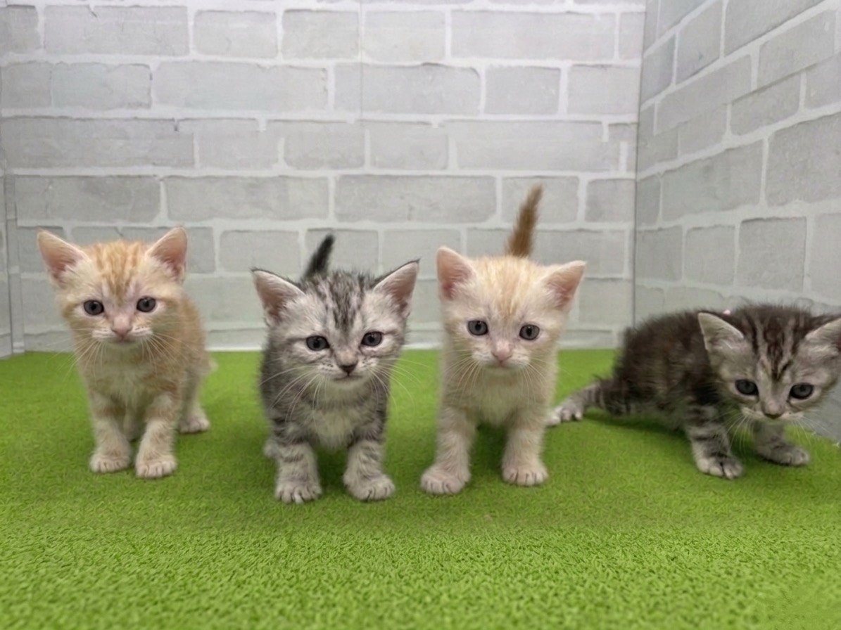 赤ちゃん写真2-3