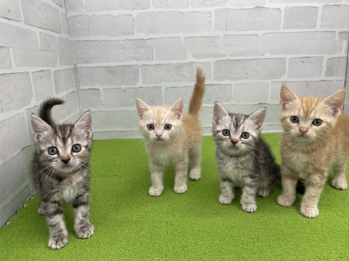 赤ちゃん写真3-3