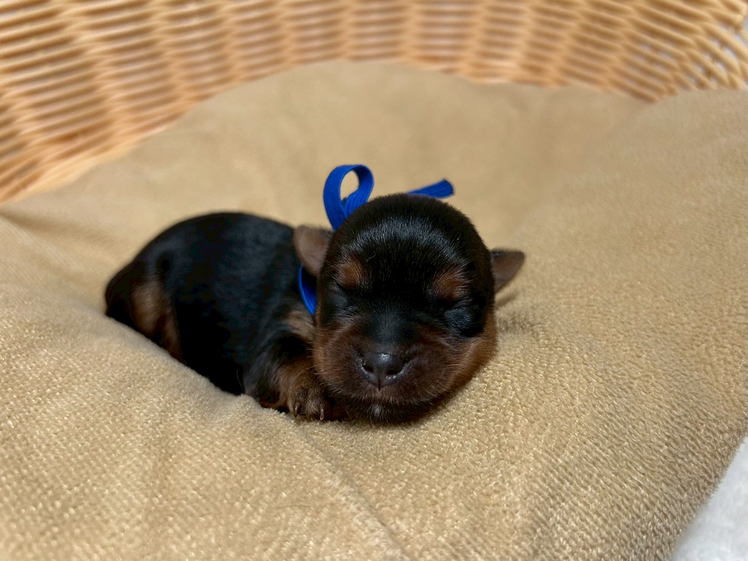赤ちゃん写真1-1