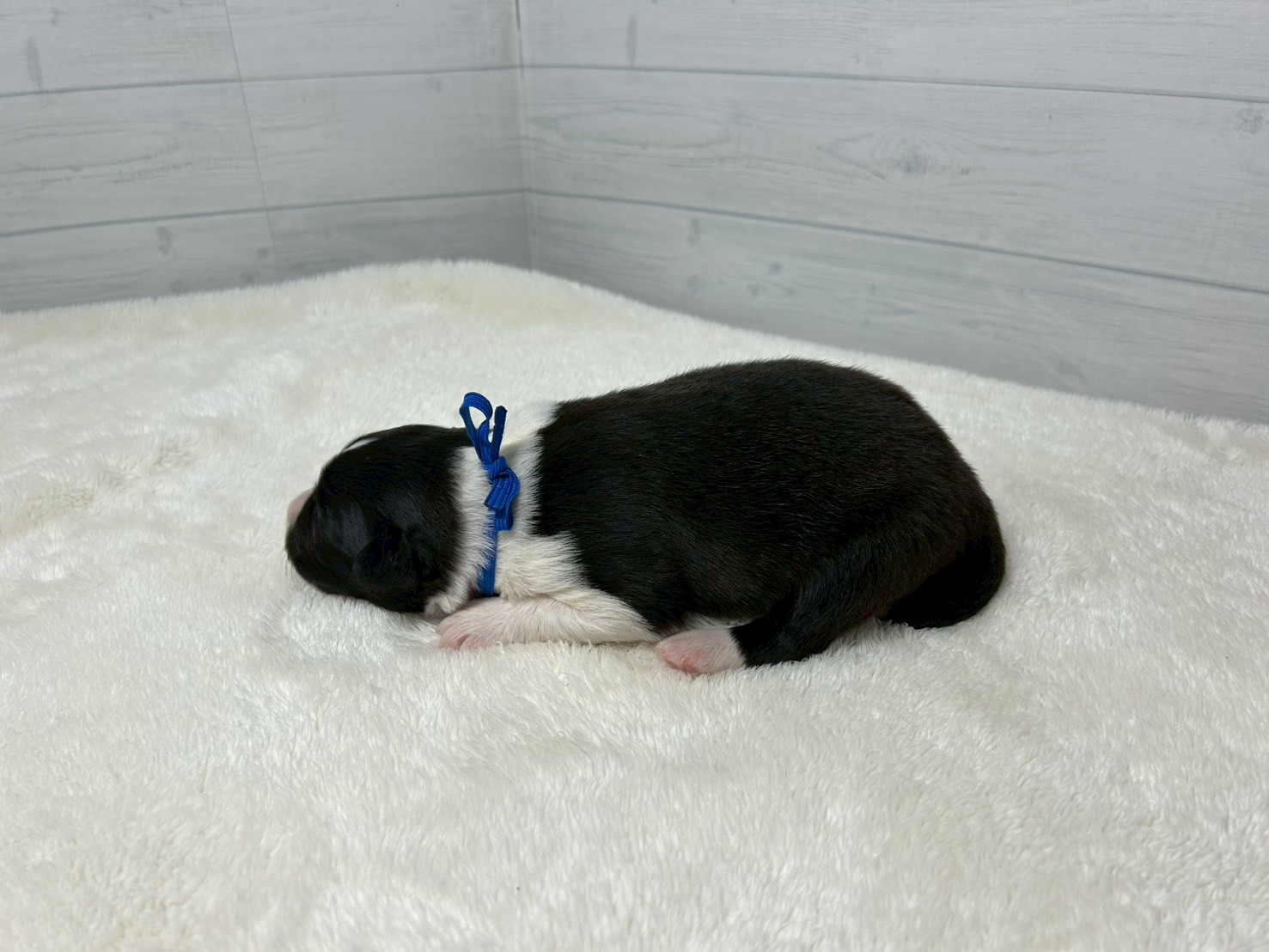赤ちゃん写真1-2