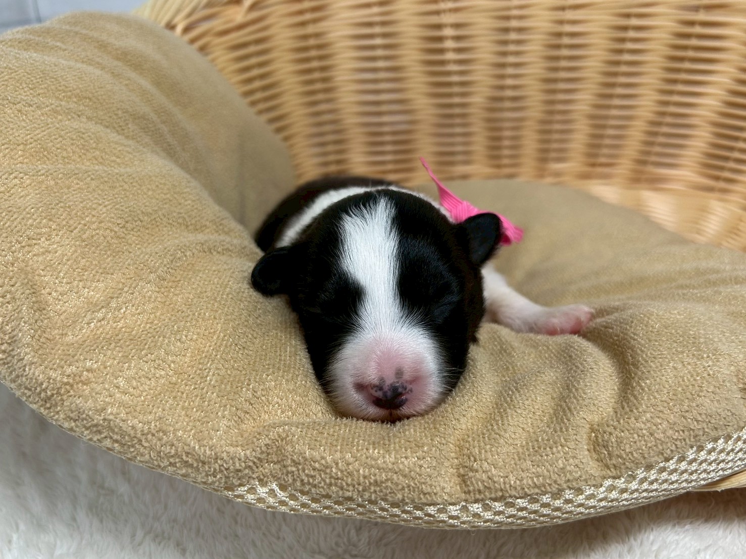 赤ちゃん写真1-1