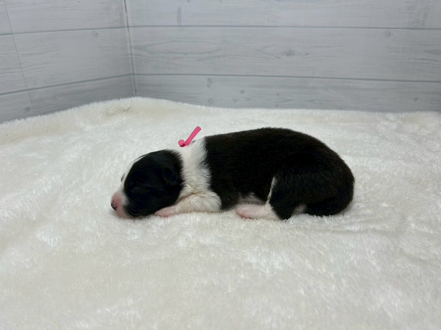 赤ちゃん写真1-2