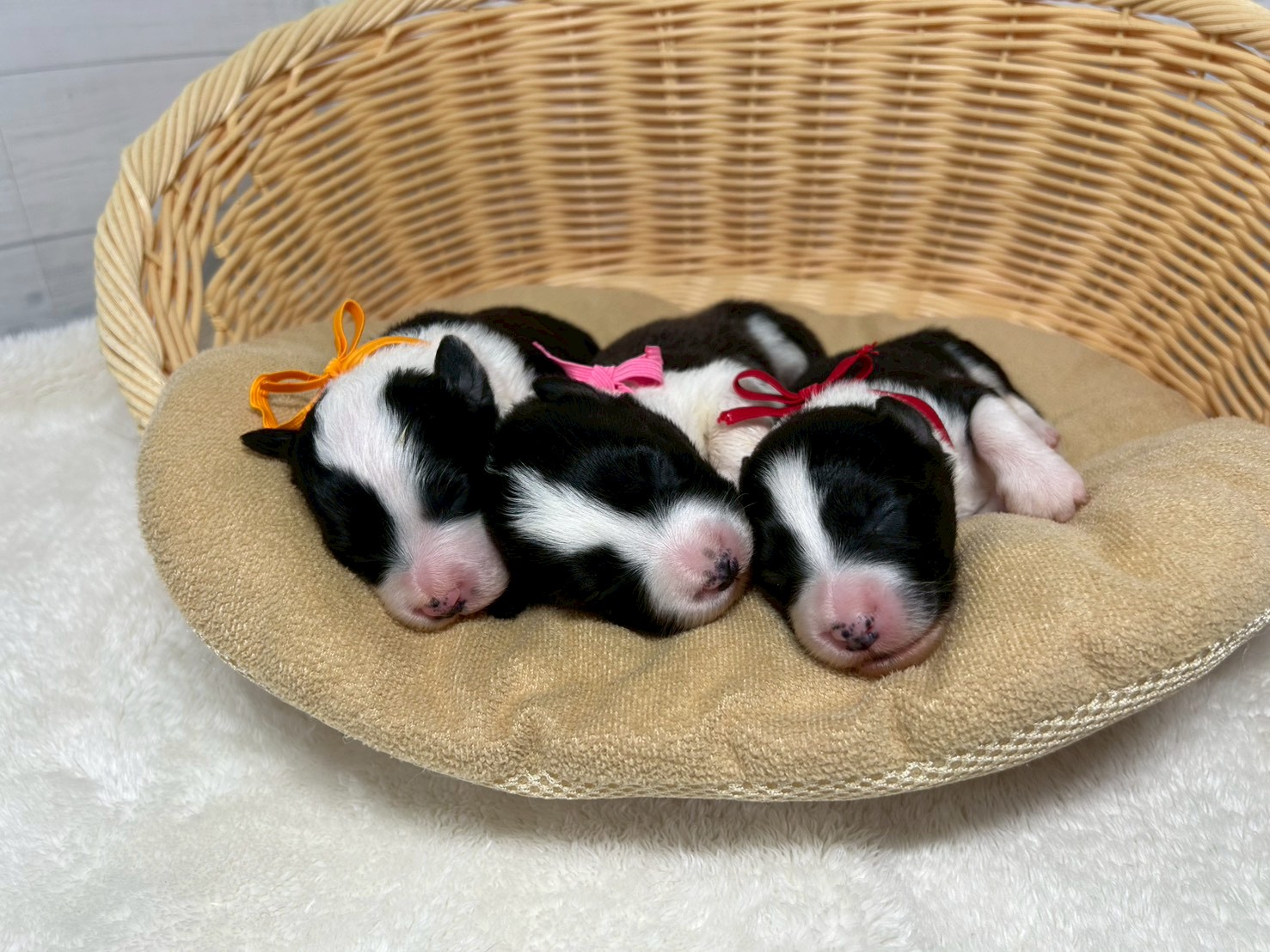 赤ちゃん写真1-3