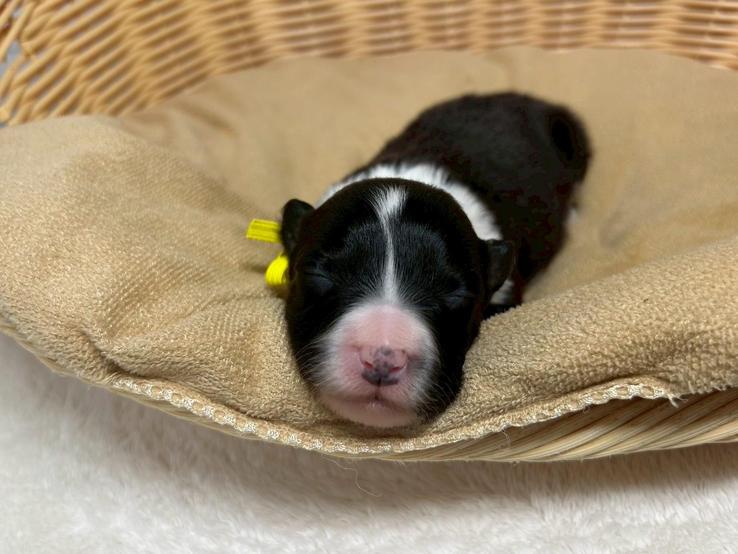 赤ちゃん写真1-1