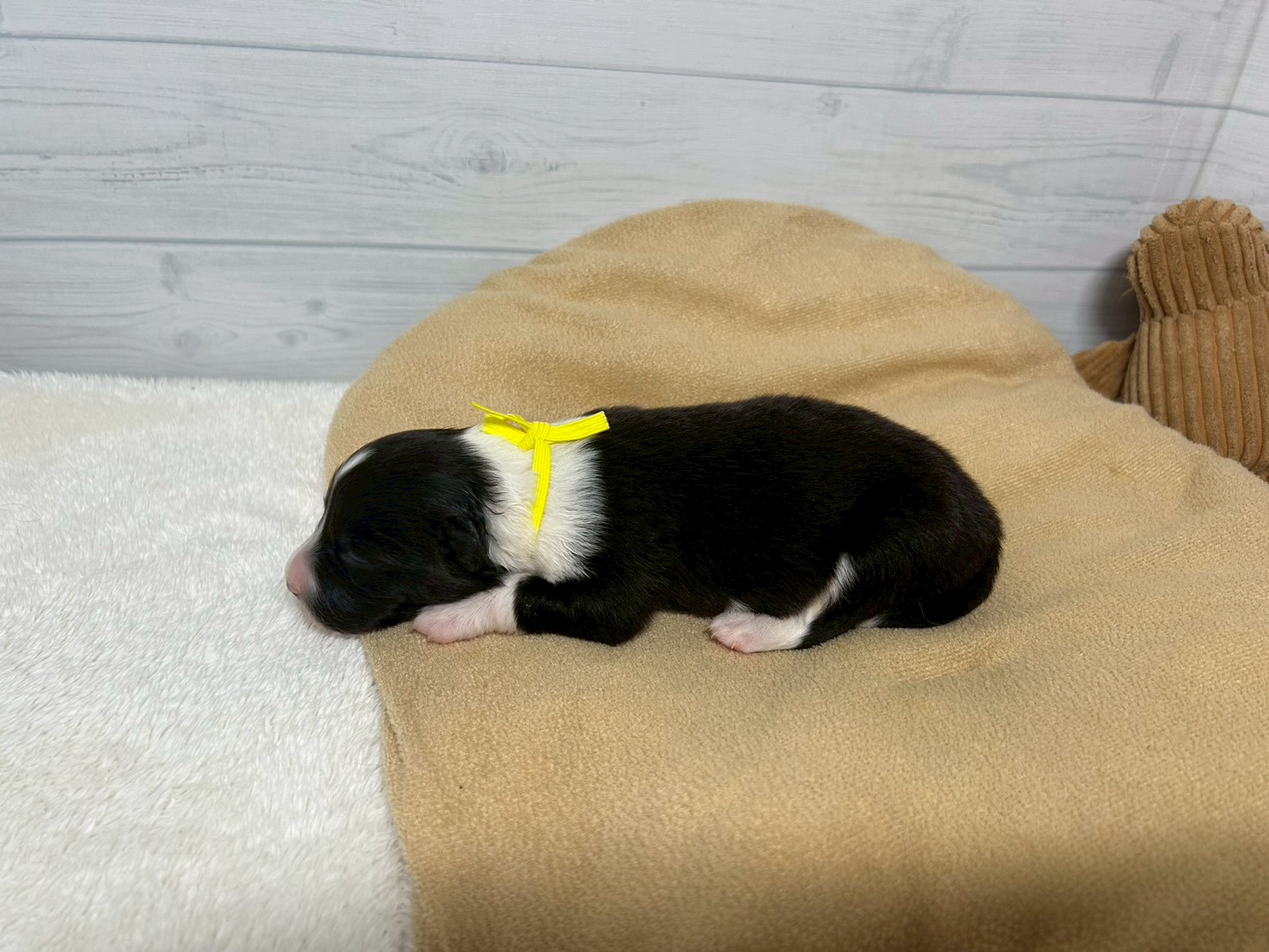 赤ちゃん写真1-2