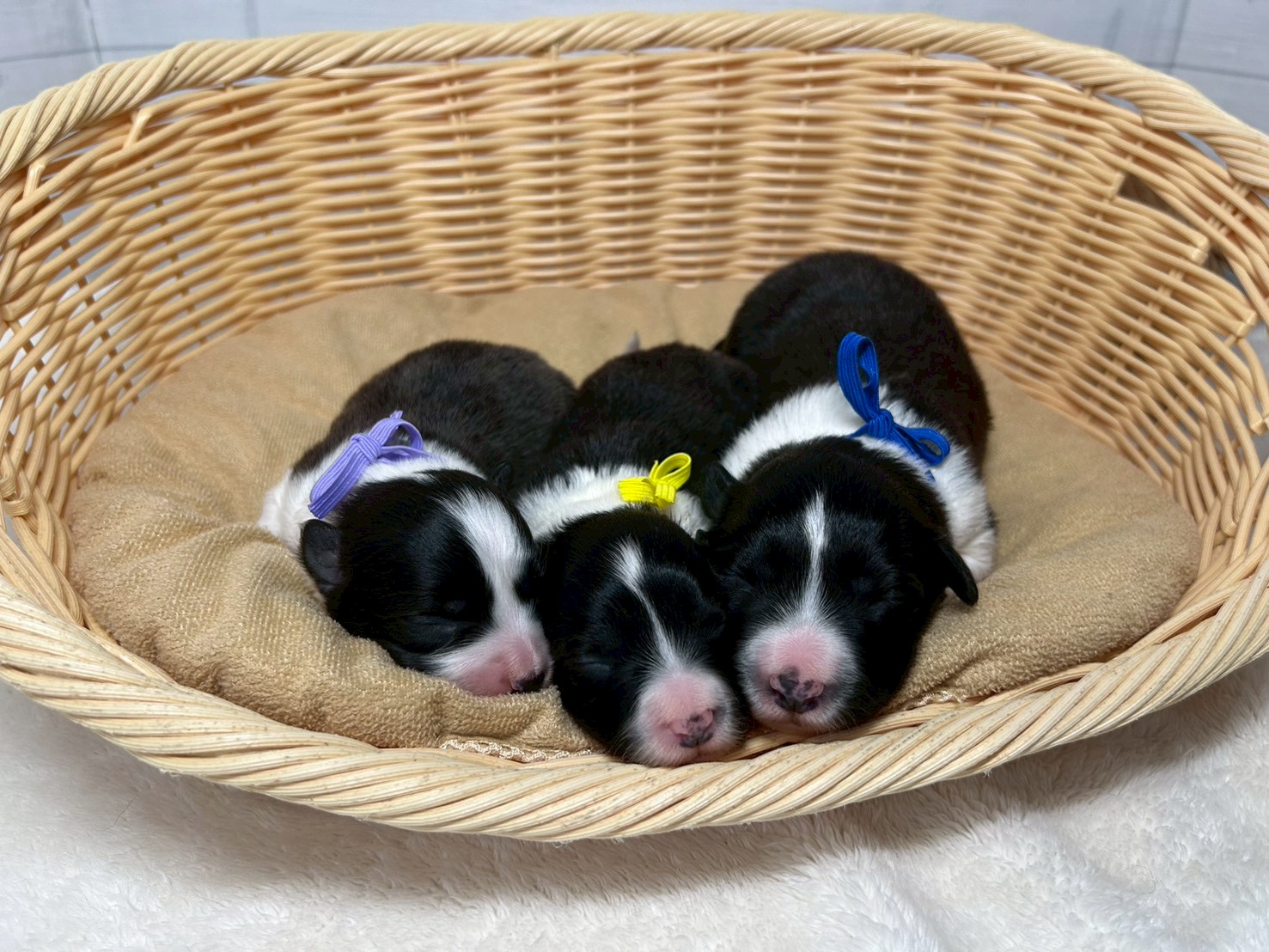 赤ちゃん写真1-3