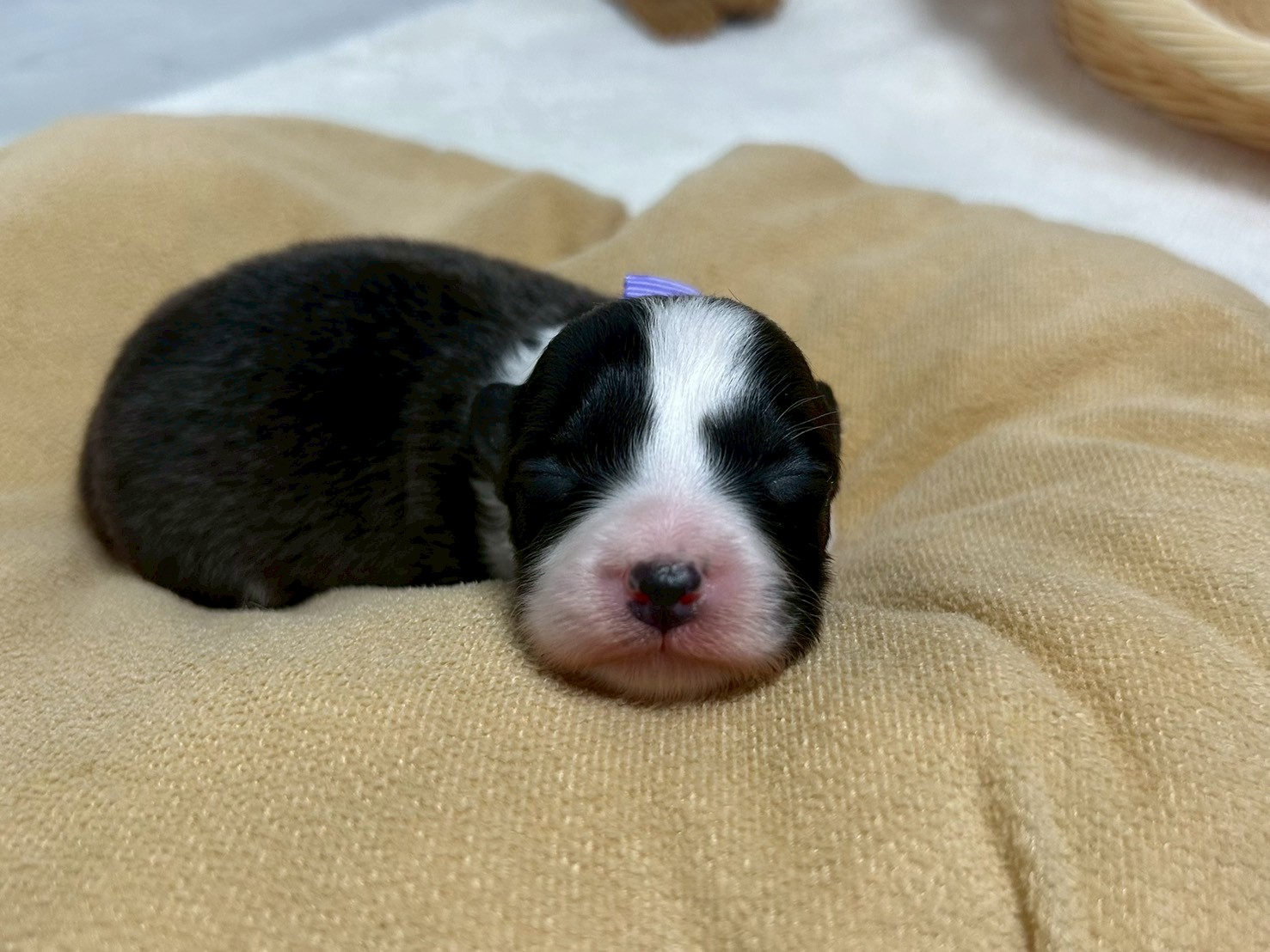 赤ちゃん写真1-1