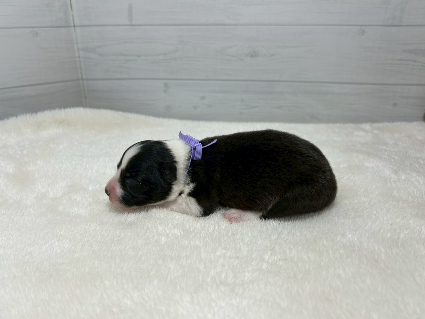 赤ちゃん写真1-2