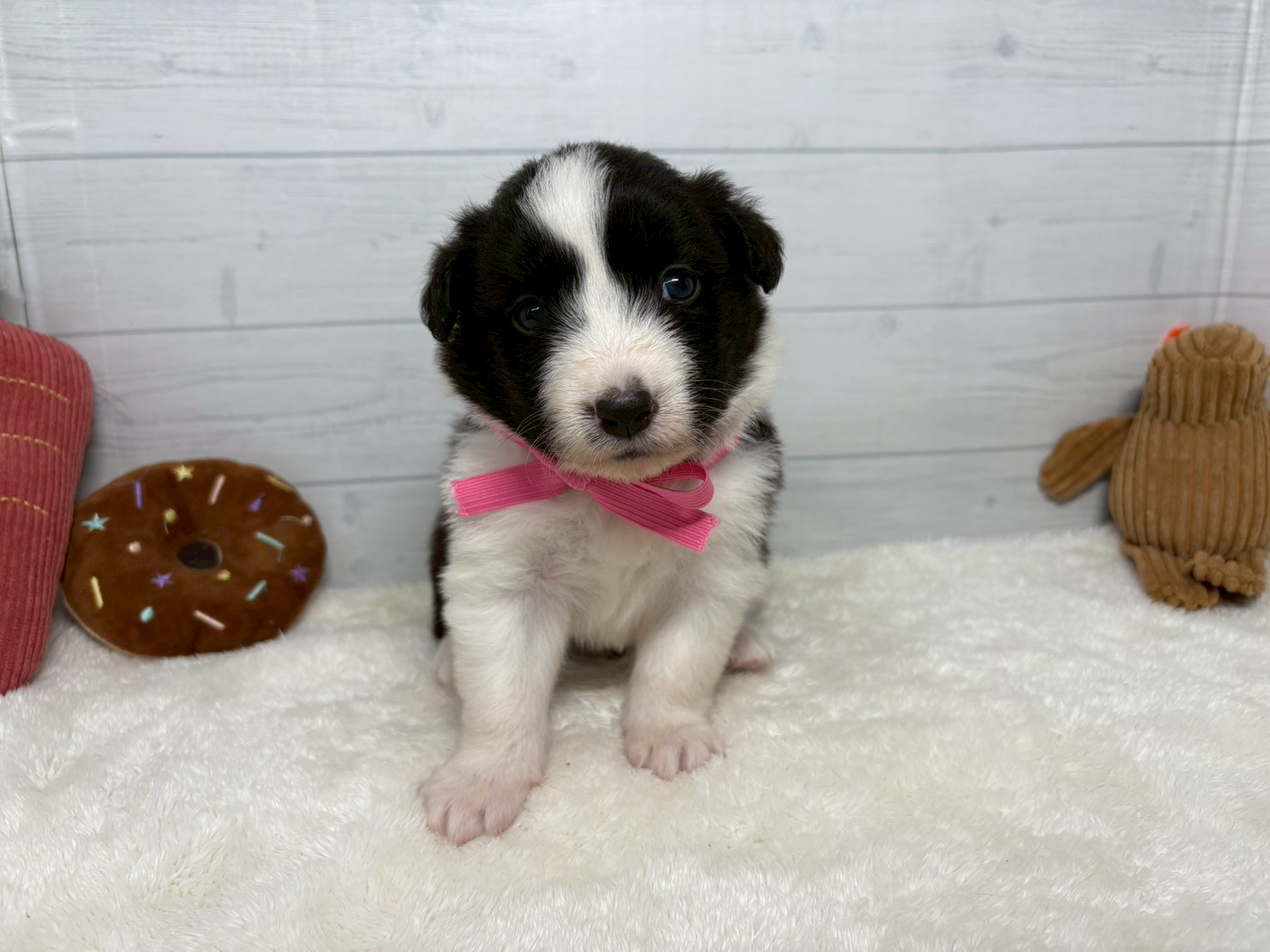 赤ちゃん写真2-1