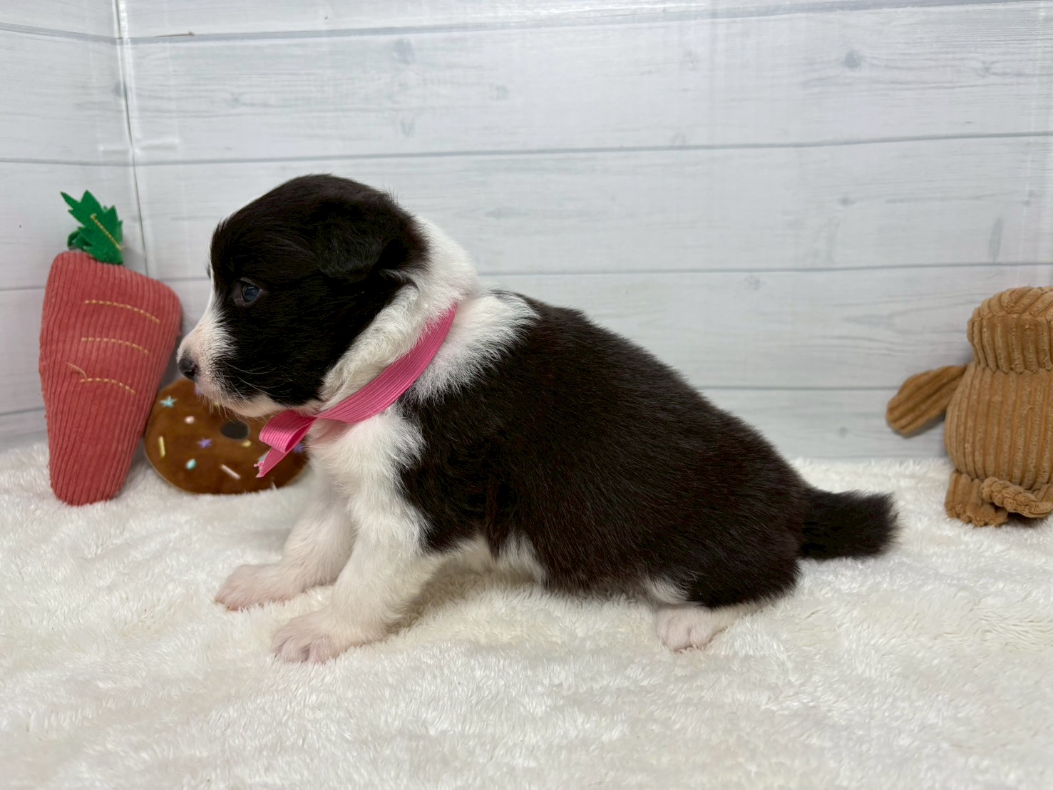 赤ちゃん写真2-2