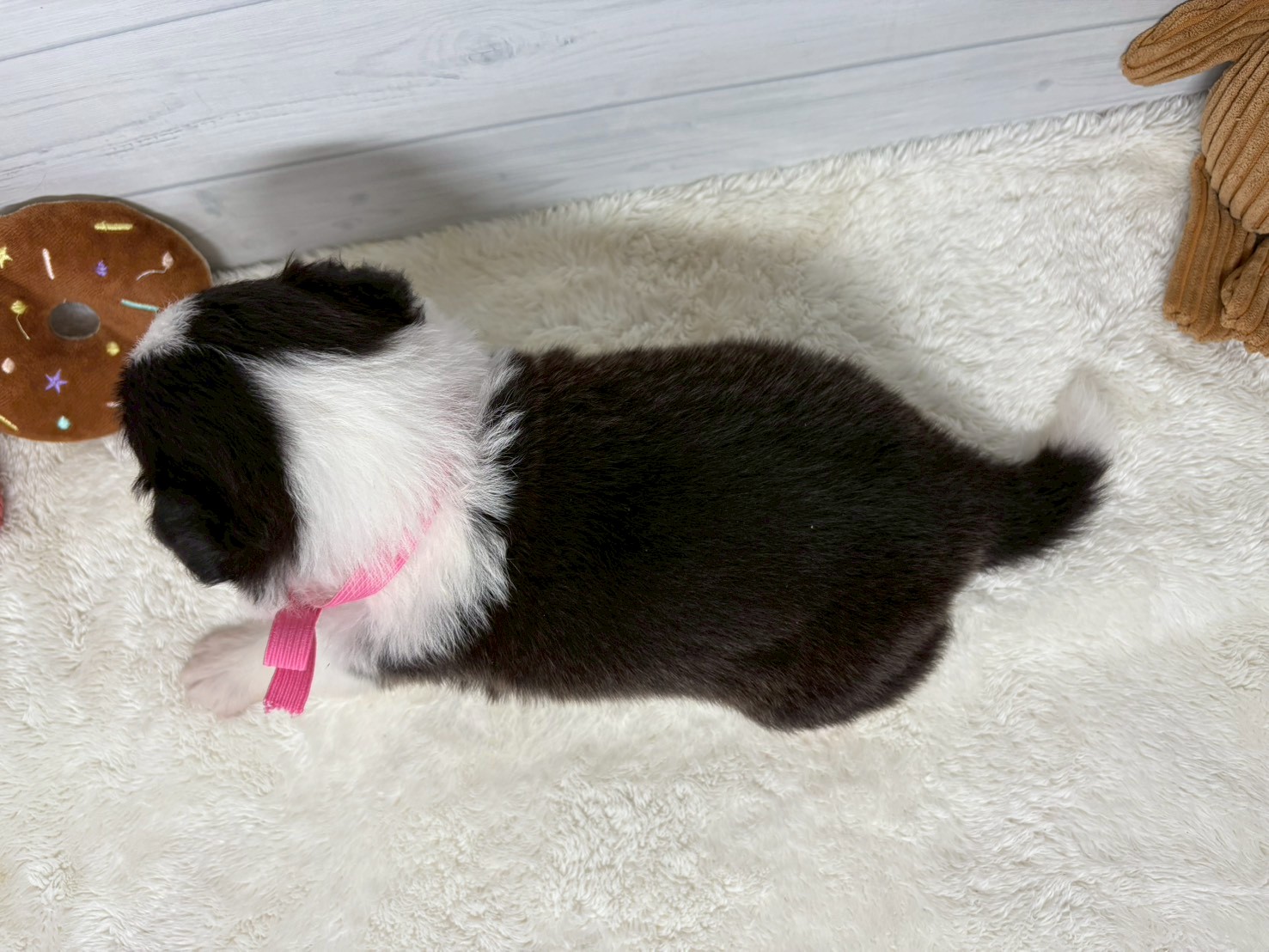 赤ちゃん写真2-3