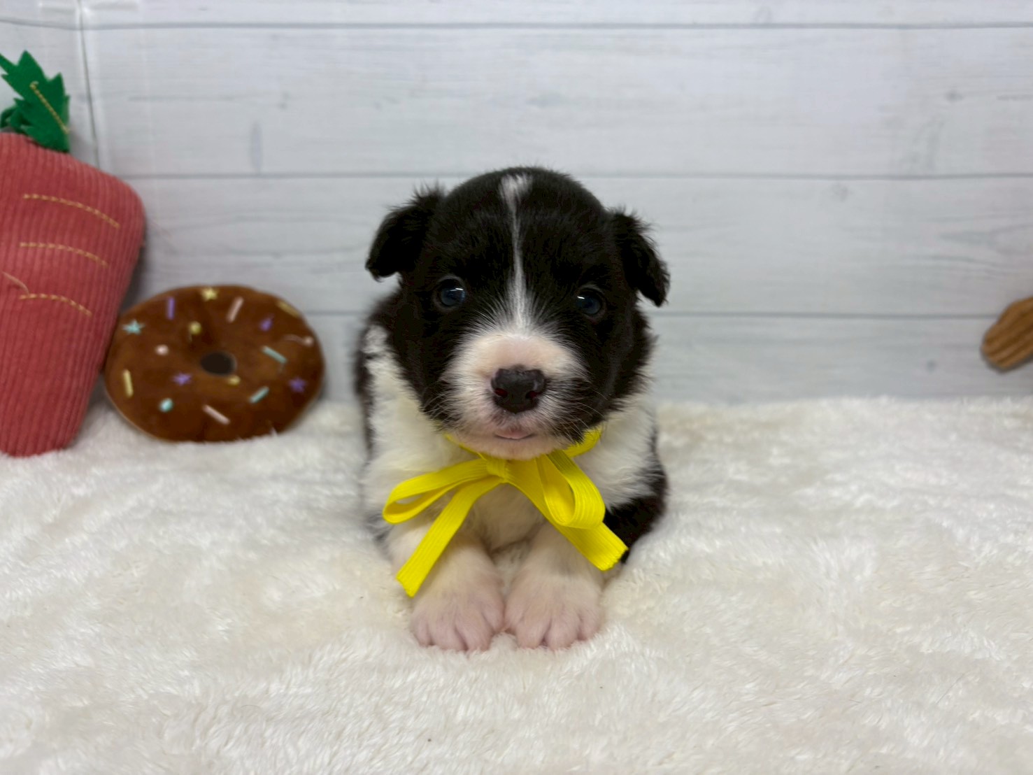 赤ちゃん写真2-1