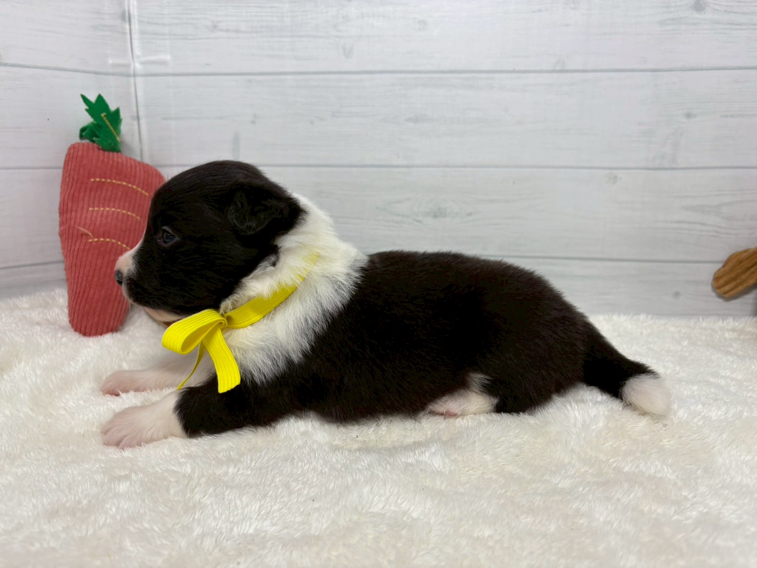 赤ちゃん写真2-2