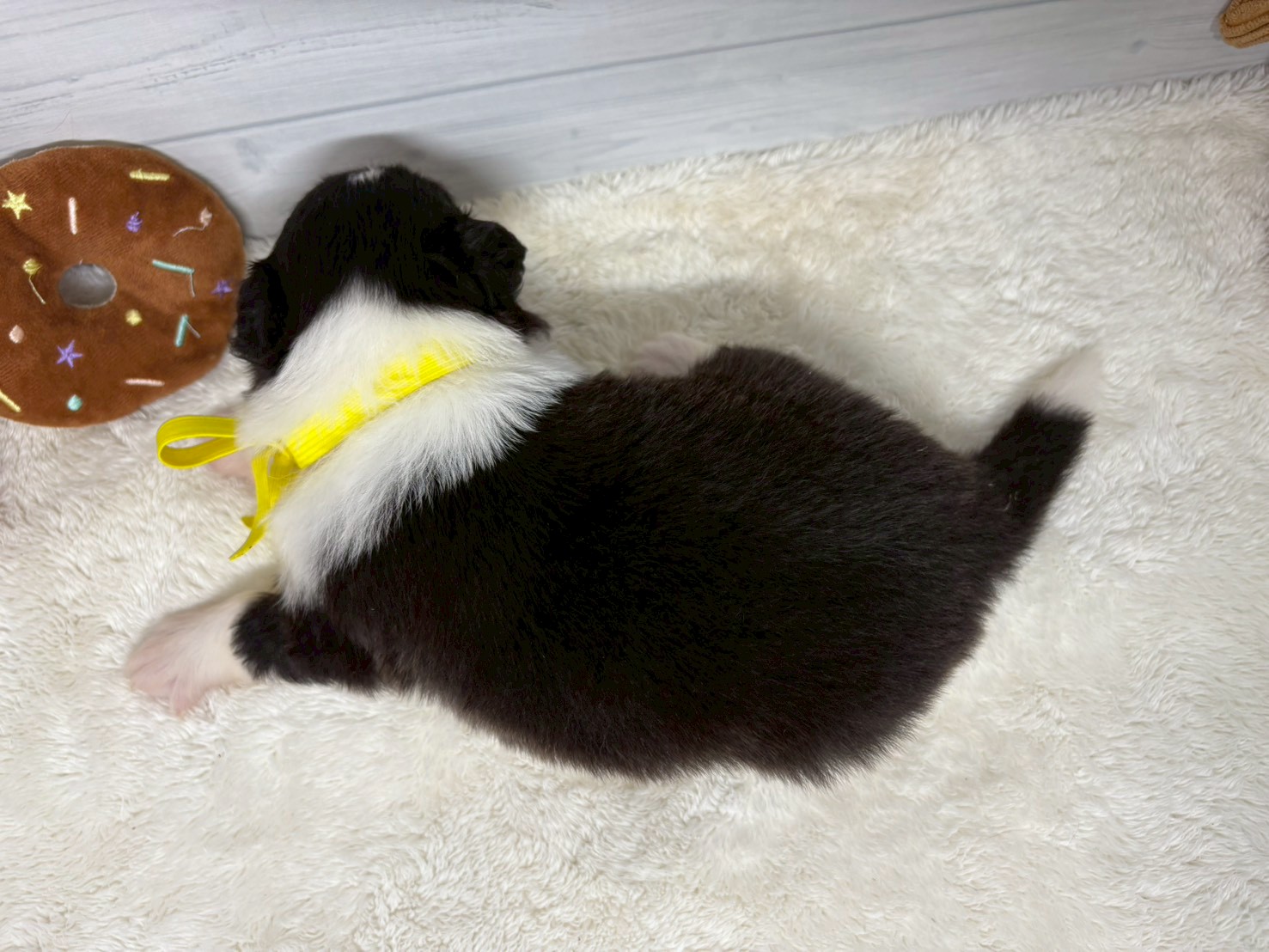 赤ちゃん写真2-3