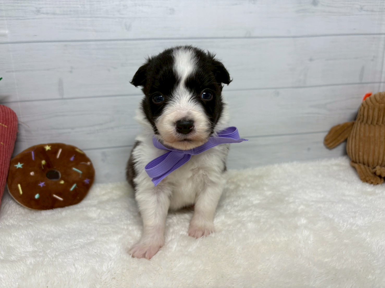 赤ちゃん写真2-1