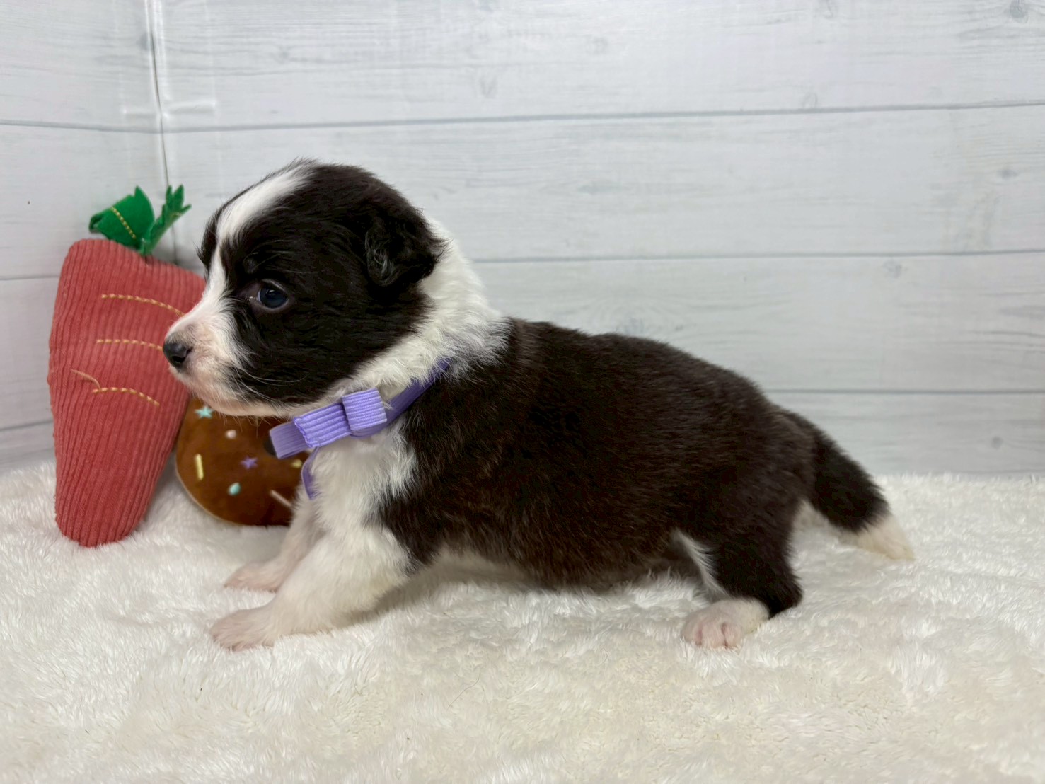 赤ちゃん写真2-2