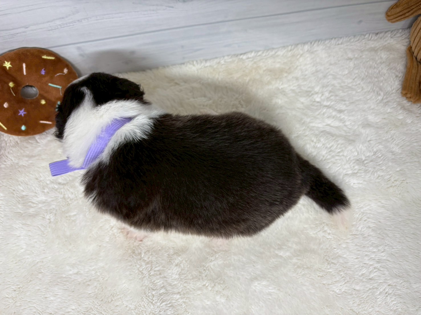 赤ちゃん写真2-3