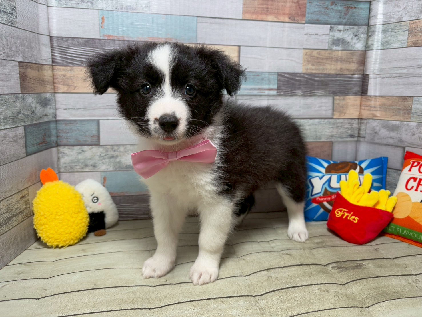 赤ちゃん写真3-1