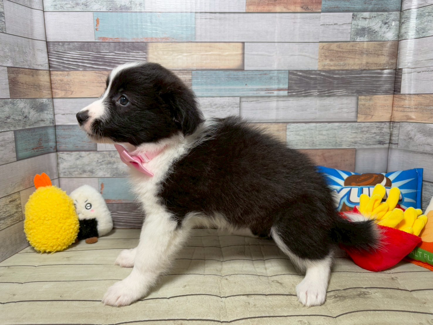 赤ちゃん写真3-2