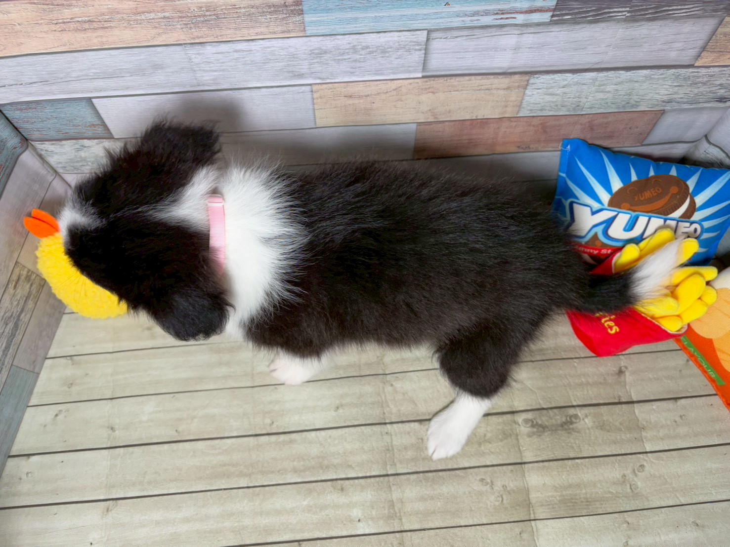 赤ちゃん写真3-3