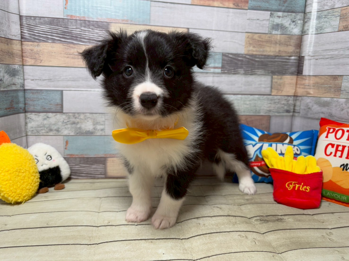 赤ちゃん写真3-1