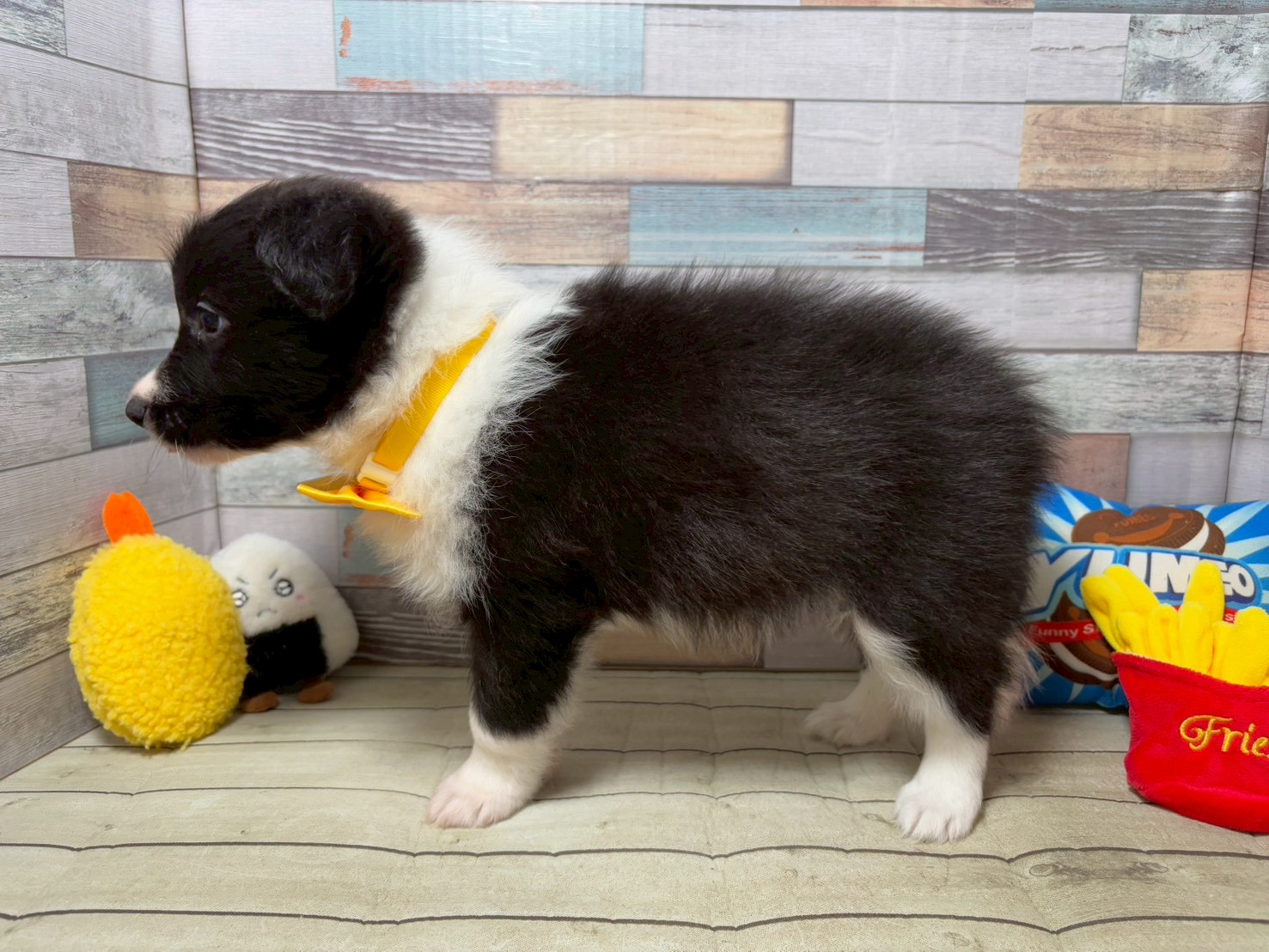 赤ちゃん写真3-2