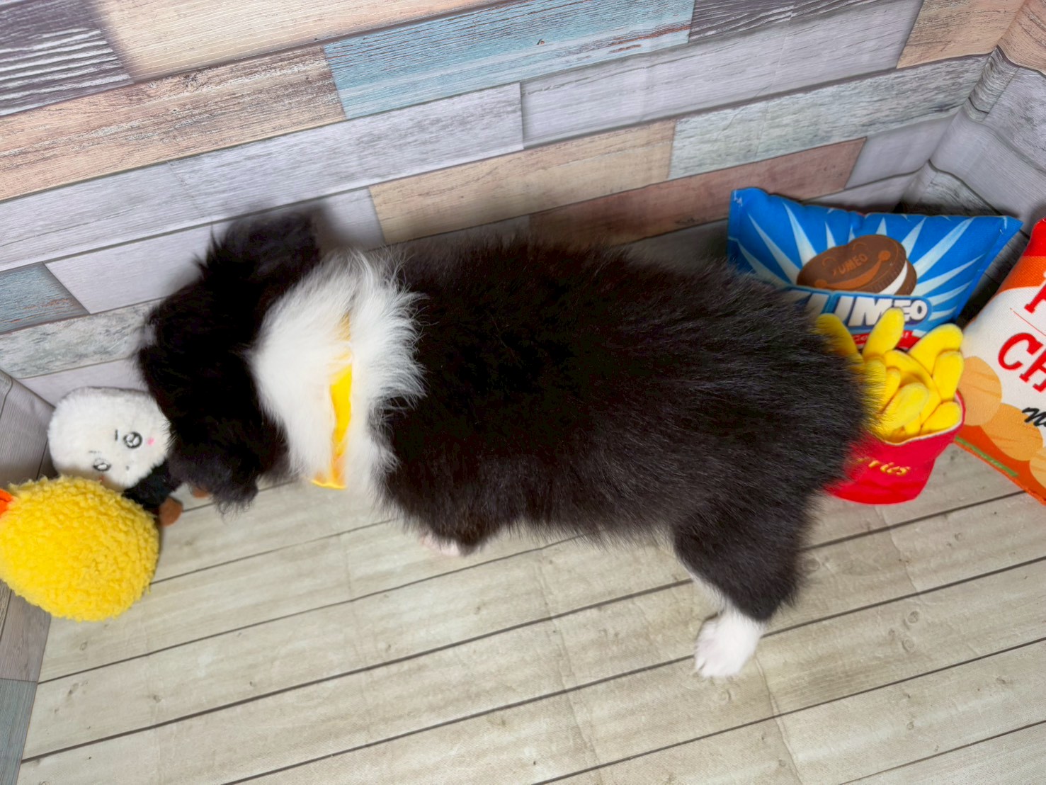 赤ちゃん写真3-3