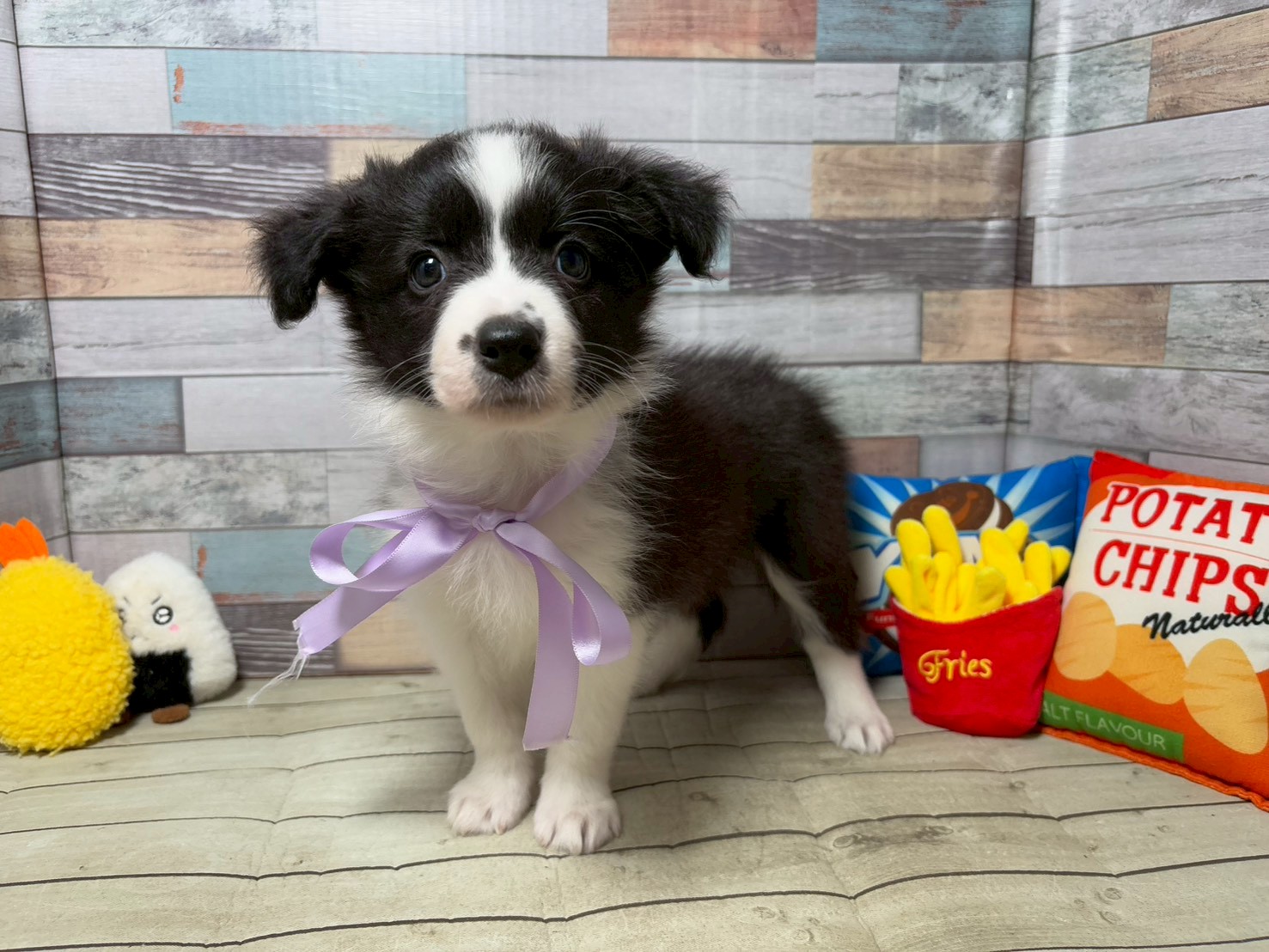 赤ちゃん写真3-1