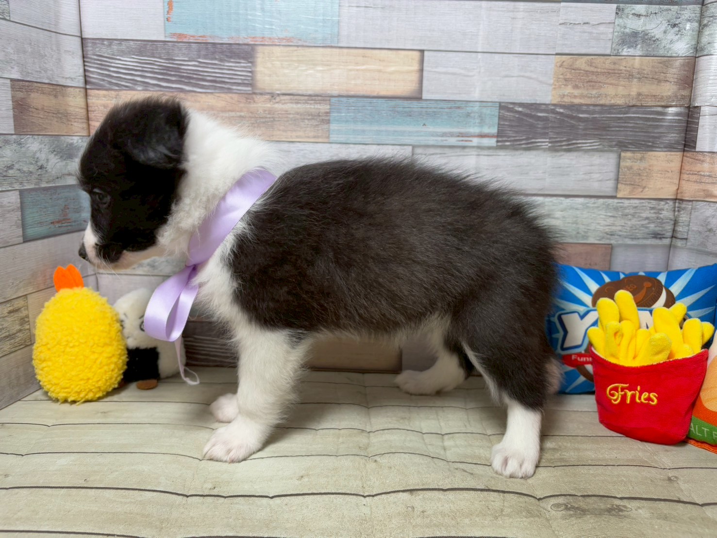 赤ちゃん写真3-2