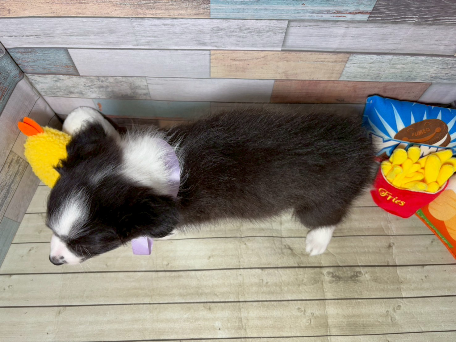 赤ちゃん写真3-3