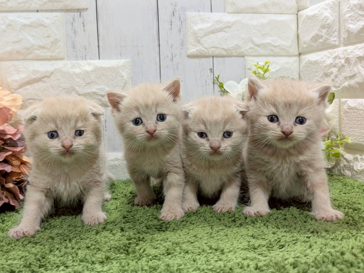 赤ちゃん写真2-3