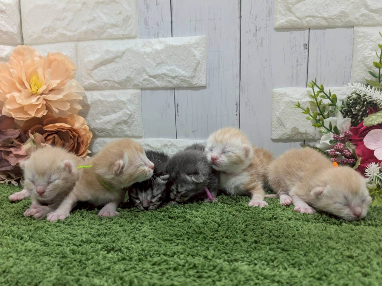 赤ちゃん写真1-3