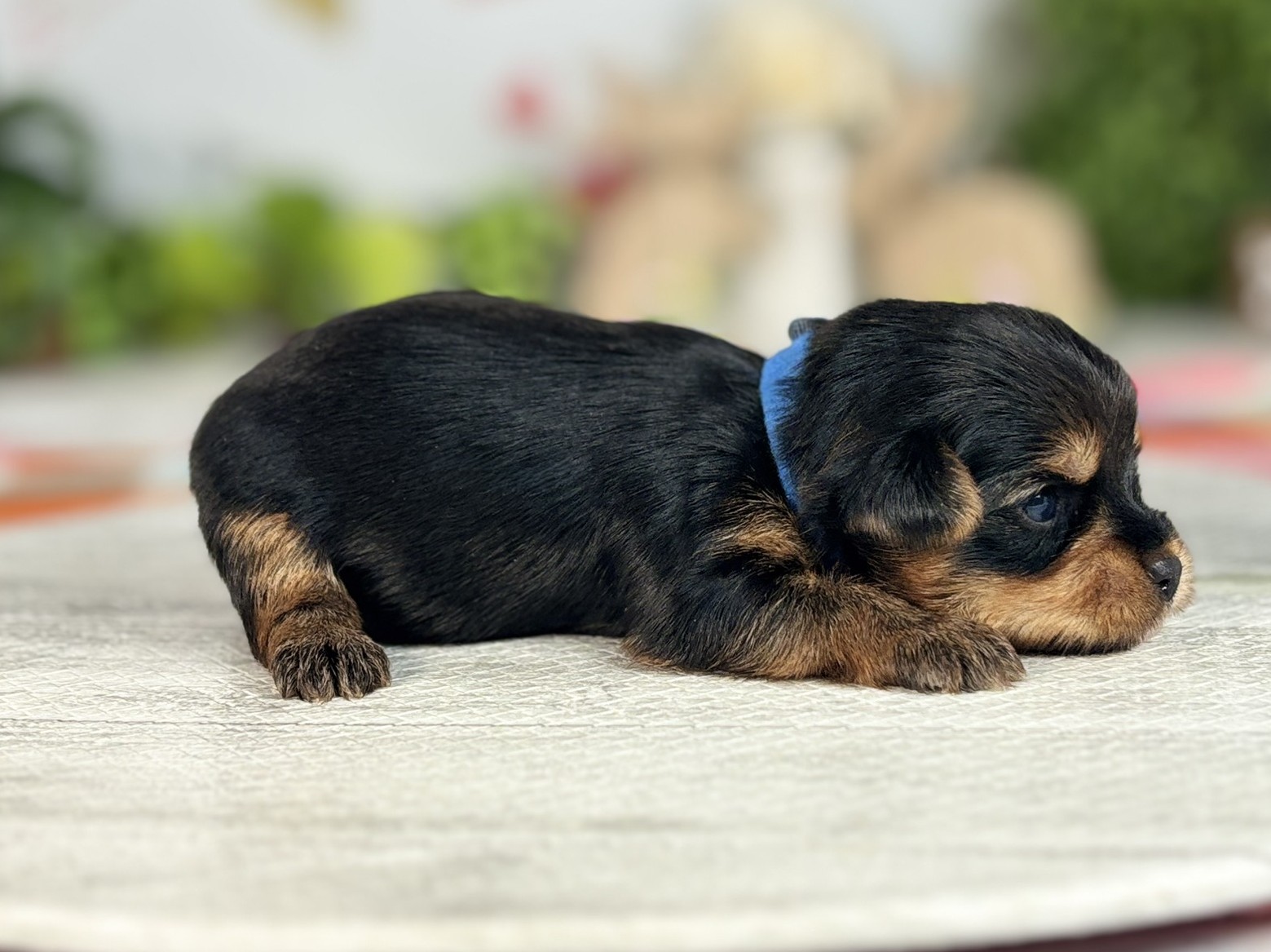赤ちゃん写真1-2