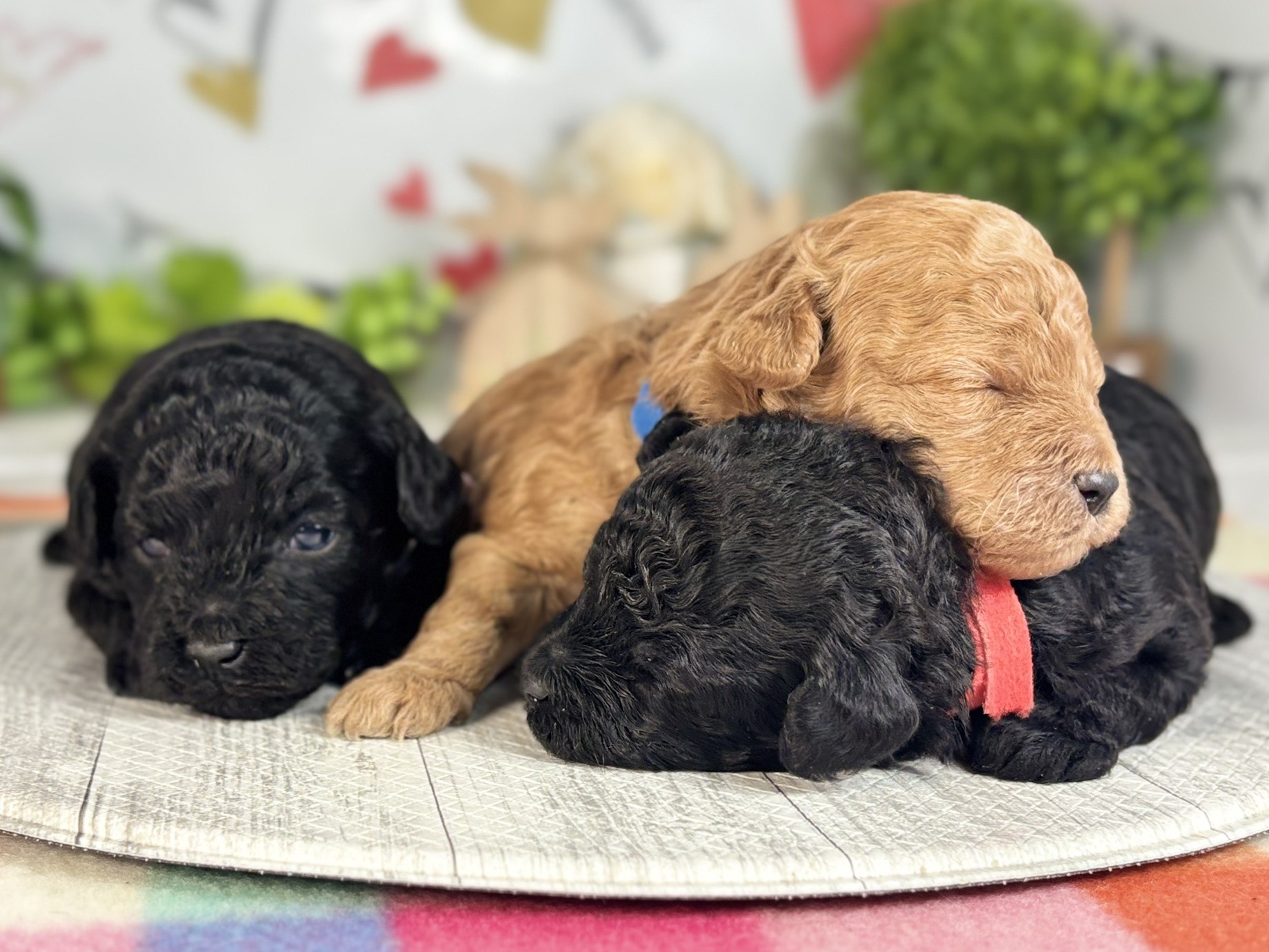 赤ちゃん写真1-3