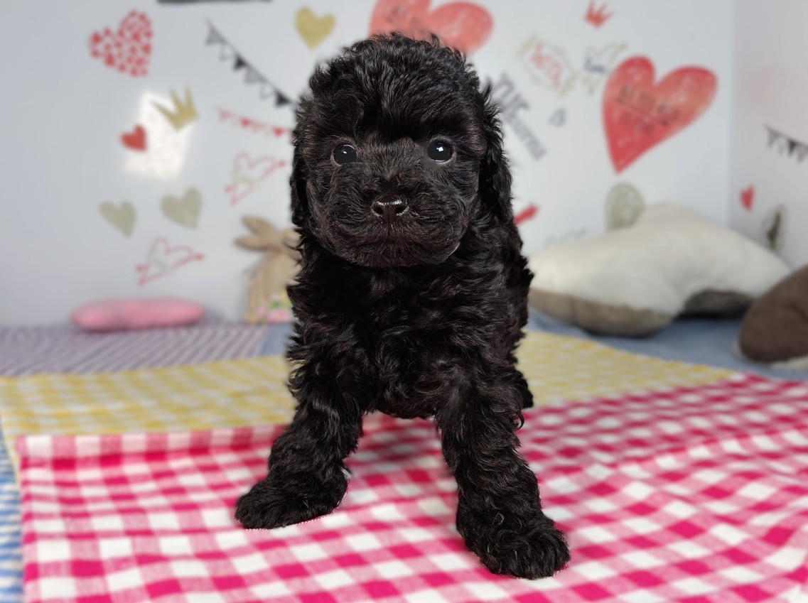 赤ちゃん写真2-1