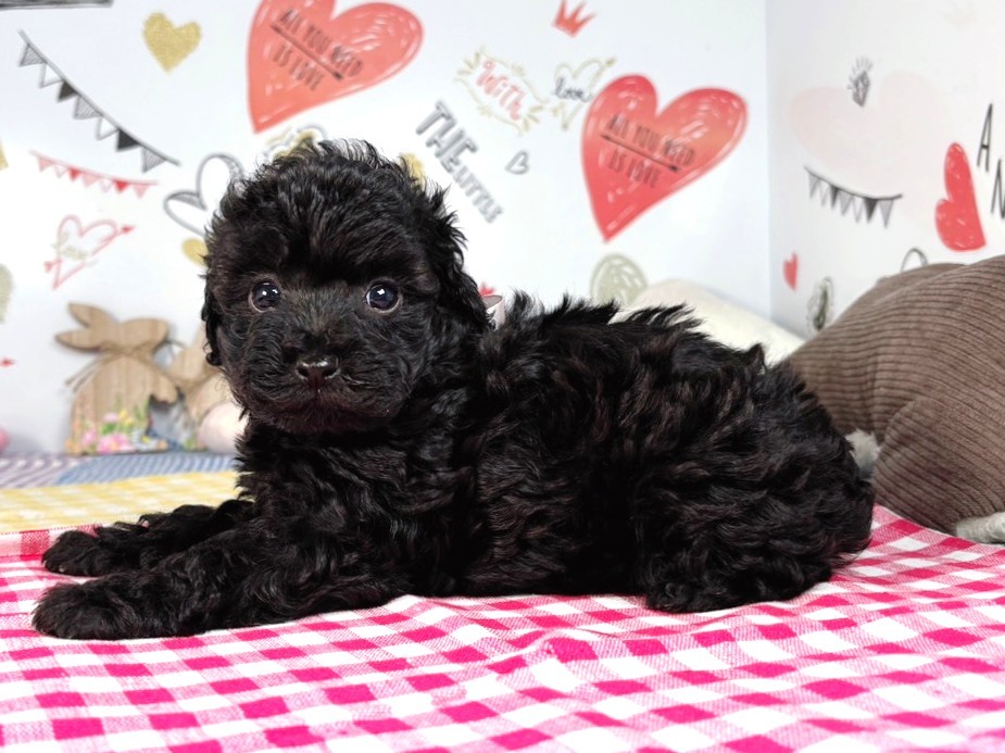 赤ちゃん写真2-2