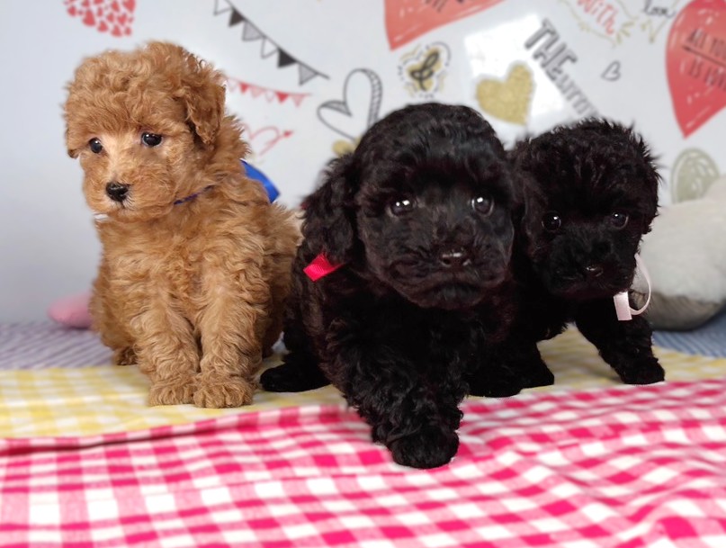 赤ちゃん写真2-3