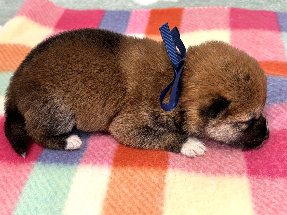 赤ちゃん写真1-2