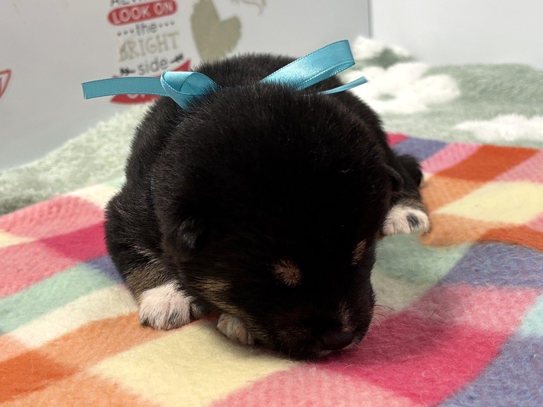 赤ちゃん写真1-1