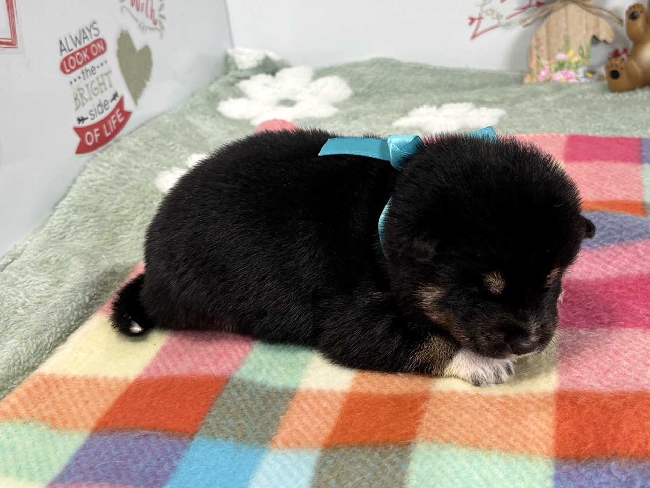 赤ちゃん写真1-2