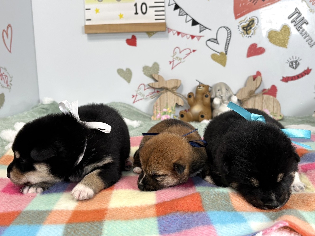 赤ちゃん写真1-3