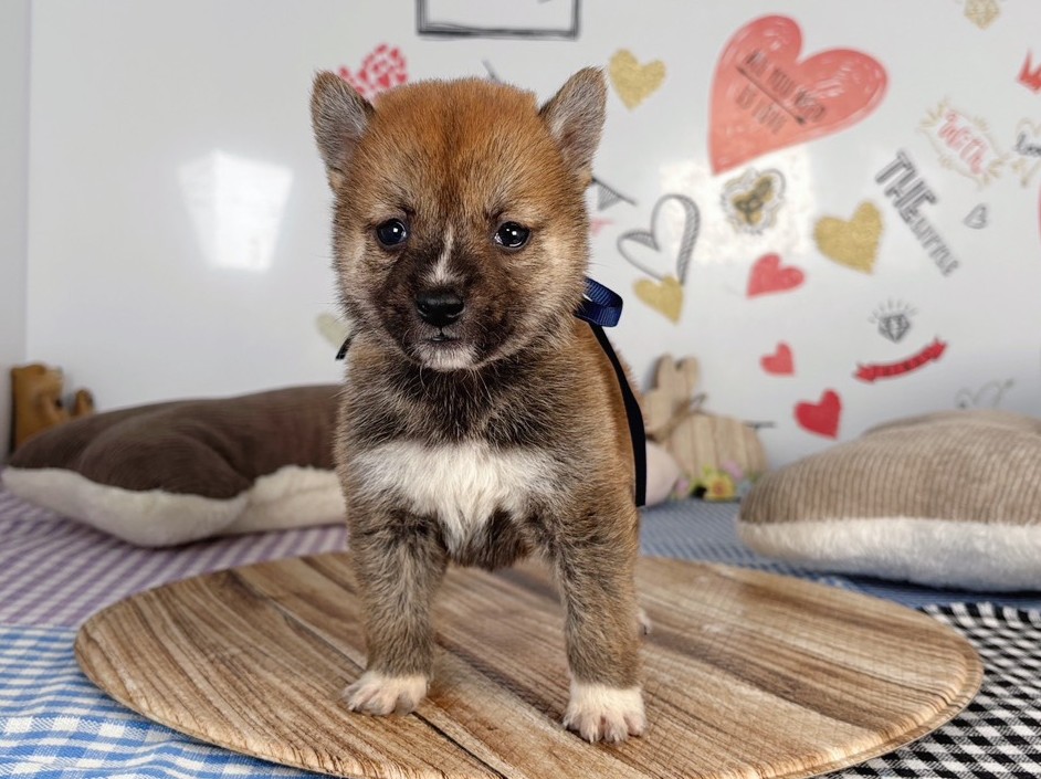 赤ちゃん写真2-1