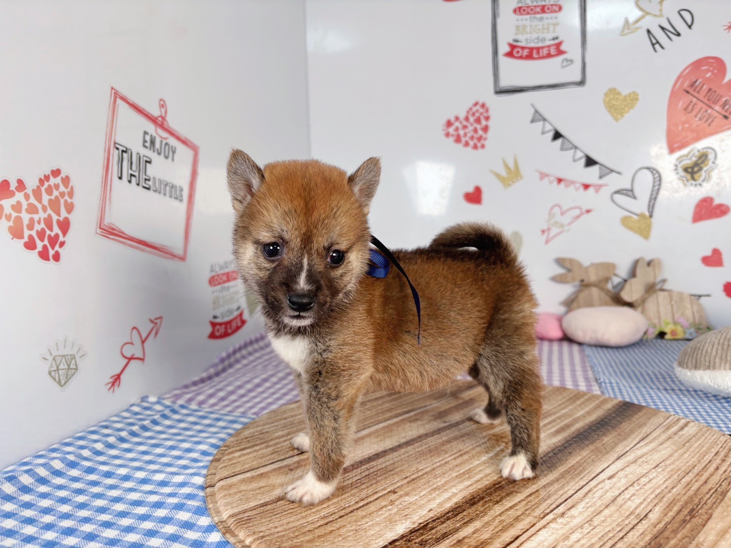 赤ちゃん写真2-2