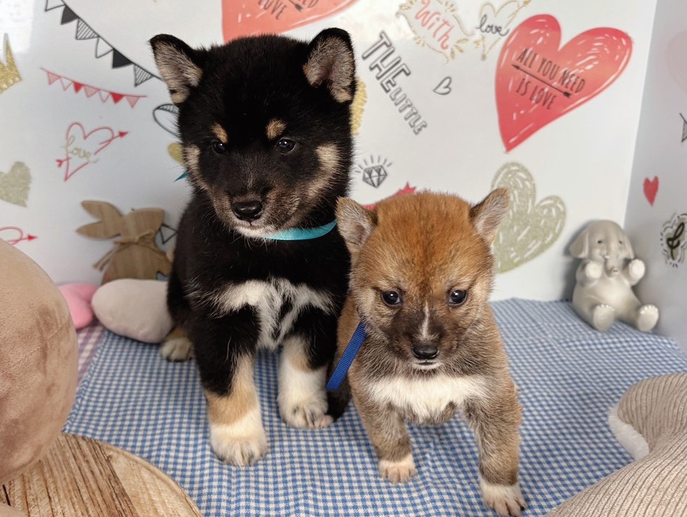 赤ちゃん写真2-3