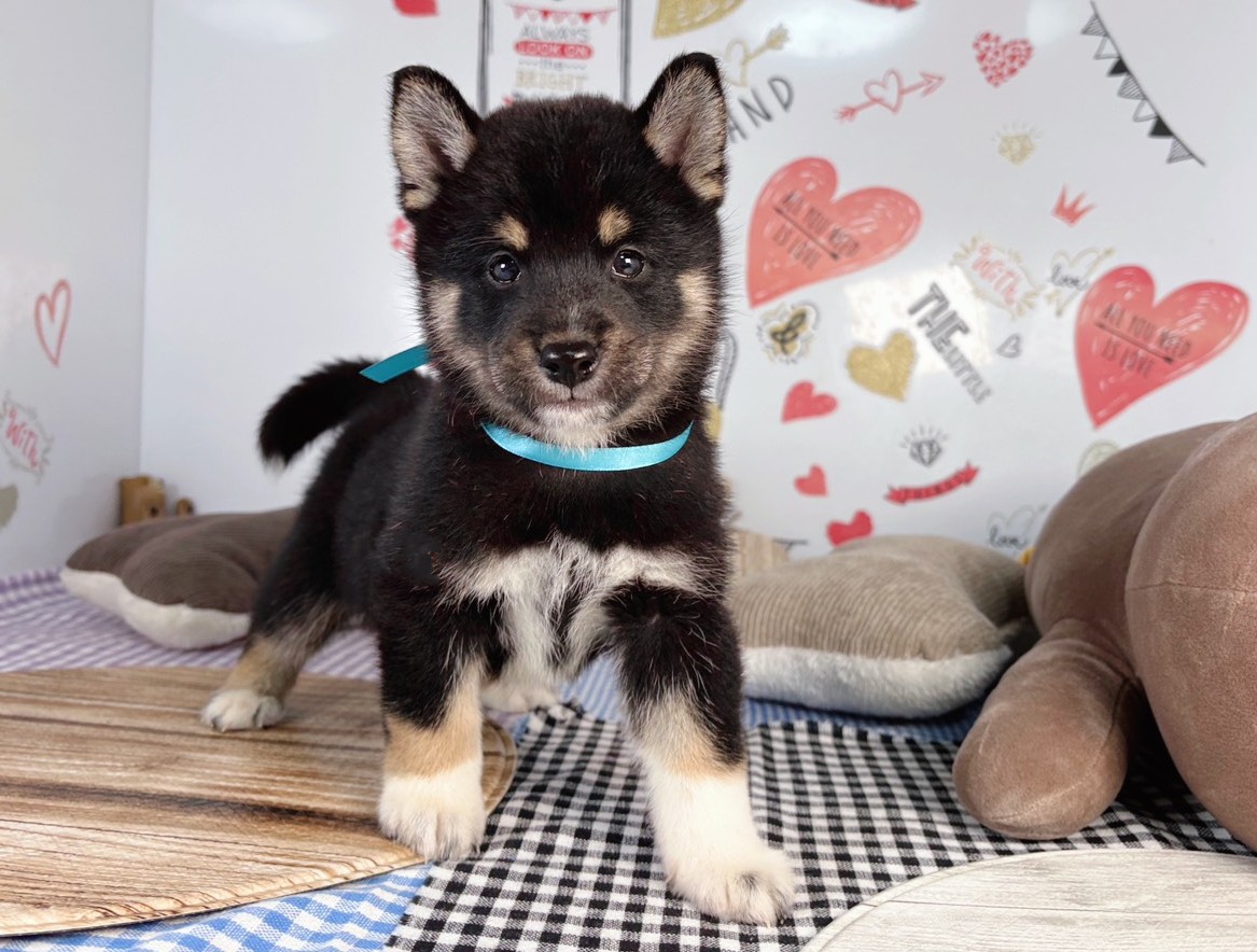 赤ちゃん写真2-1