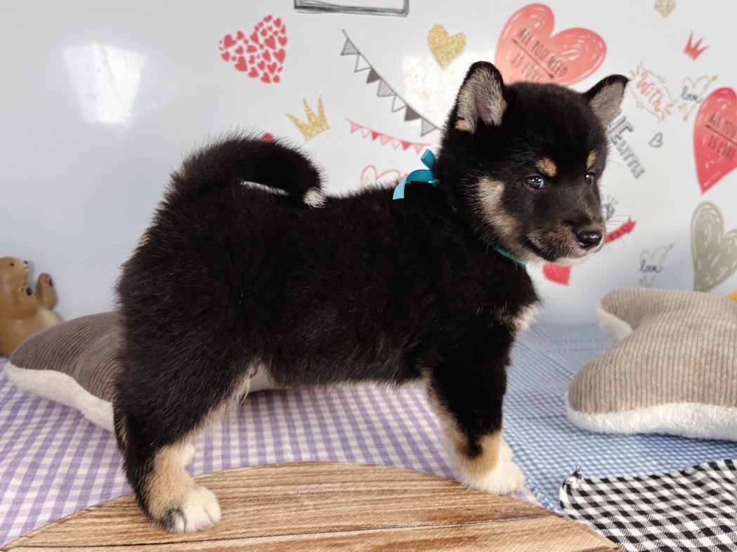 赤ちゃん写真2-2