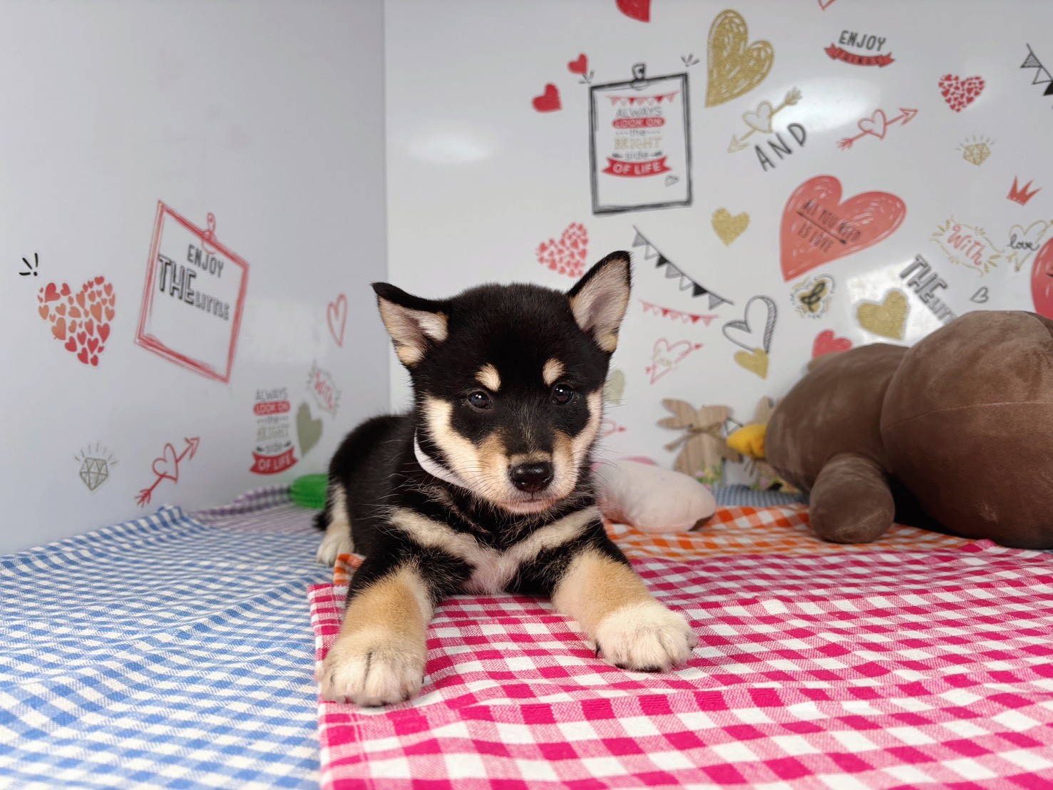 赤ちゃん写真2-1