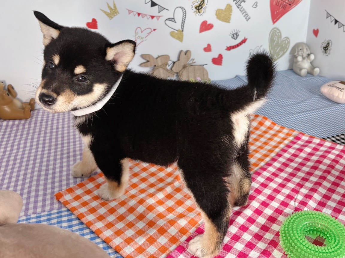 赤ちゃん写真2-2